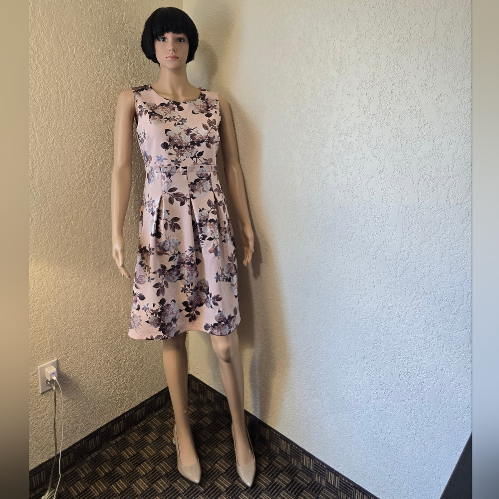 Enfocus Studio Blush and Black Floral Dress